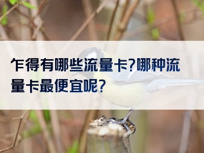 乍得有哪些流量卡？哪种流量卡最便宜呢？