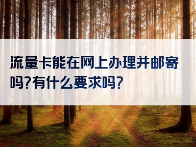 流量卡能在网上办理并邮寄吗？有什么要求吗？