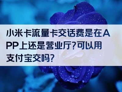 小米卡流量卡交话费是在APP上还是营业厅？可以用支付宝交吗？
