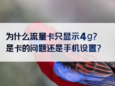 为什么流量卡只显示4g？是卡的问题还是手机设置？