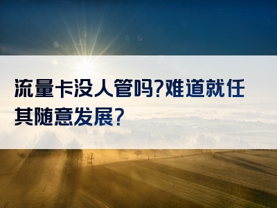 流量卡没人管吗？难道就任其随意发展？