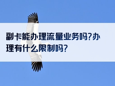 副卡能办理流量业务吗？办理有什么限制吗？