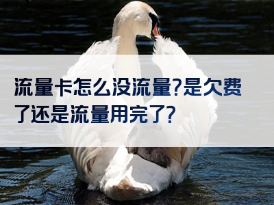 流量卡怎么没流量？是欠费了还是流量用完了？