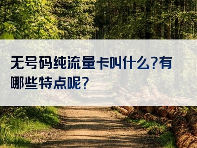 无号码纯流量卡叫什么？有哪些特点呢？