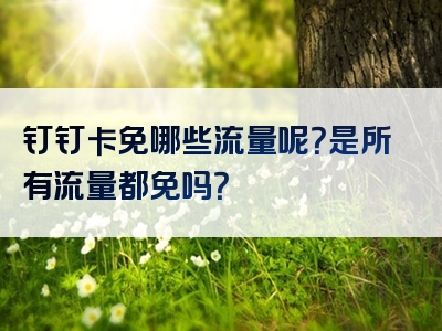 钉钉卡免哪些流量呢？是所有流量都免吗？
