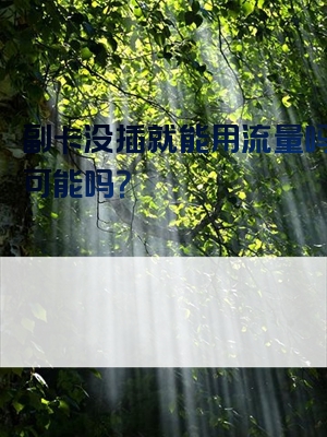副卡没插就能用流量吗？这可能吗？