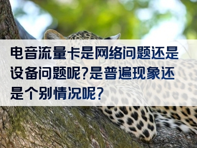 电音流量卡是网络问题还是设备问题呢？是普遍现象还是个别情况呢？