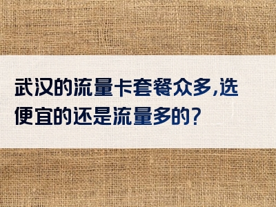 武汉的流量卡套餐众多，选便宜的还是流量多的？