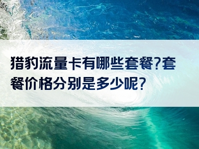 猎豹流量卡有哪些套餐？套餐价格分别是多少呢？