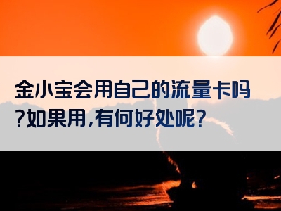 金小宝会用自己的流量卡吗？如果用，有何好处呢？