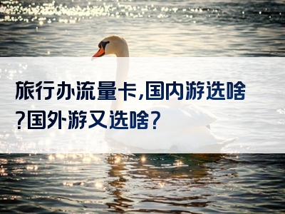 旅行办流量卡，国内游选啥？国外游又选啥？