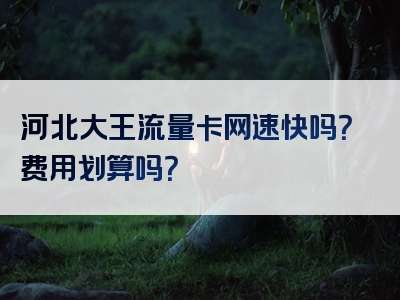 河北大王流量卡网速快吗？费用划算吗？