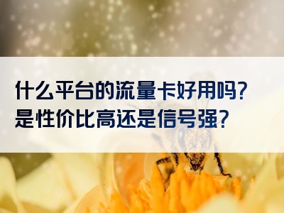 什么平台的流量卡好用吗？是性价比高还是信号强？