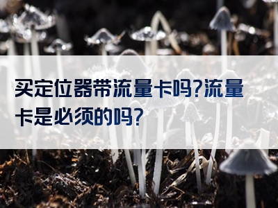 买定位器带流量卡吗？流量卡是必须的吗？