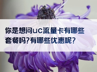 你是想问uc流量卡有哪些套餐吗？有哪些优惠呢？