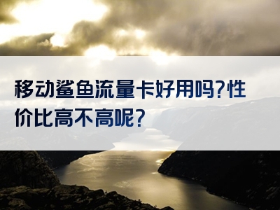 移动鲨鱼流量卡好用吗？性价比高不高呢？