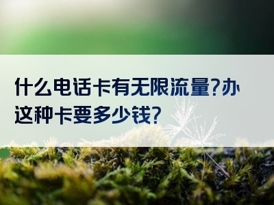 什么电话卡有无限流量？办这种卡要多少钱？