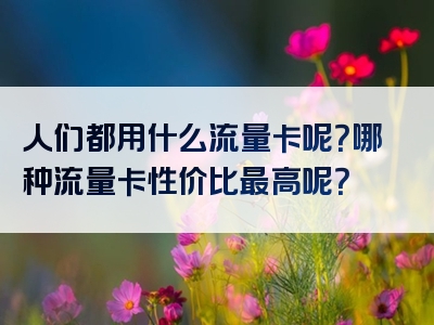人们都用什么流量卡呢？哪种流量卡性价比最高呢？