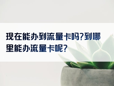 现在能办到流量卡吗？到哪里能办流量卡呢？