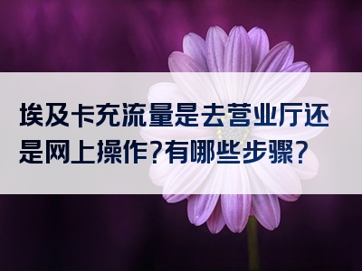埃及卡充流量是去营业厅还是网上操作？有哪些步骤？