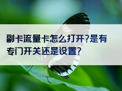副卡流量卡怎么打开？是有专门开关还是设置？