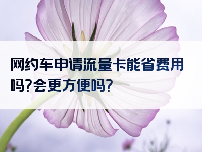 网约车申请流量卡能省费用吗？会更方便吗？