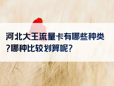河北大王流量卡有哪些种类？哪种比较划算呢？