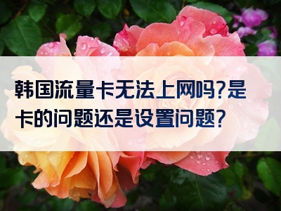 韩国流量卡无法上网吗？是卡的问题还是设置问题？
