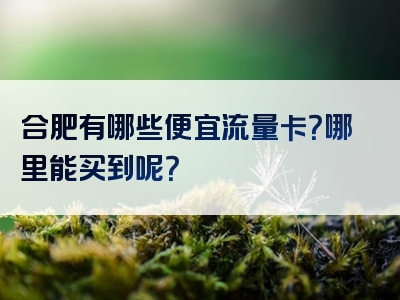 合肥有哪些便宜流量卡？哪里能买到呢？