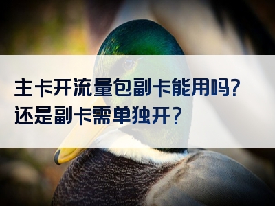 主卡开流量包副卡能用吗？还是副卡需单独开？