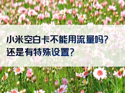 小米空白卡不能用流量吗？还是有特殊设置？