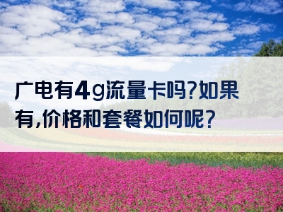广电有4g流量卡吗？如果有，价格和套餐如何呢？