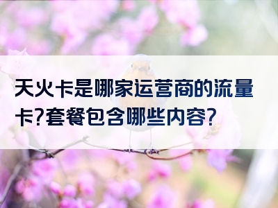 天火卡是哪家运营商的流量卡？套餐包含哪些内容？
