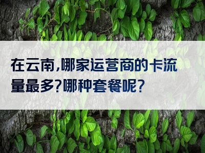 在云南，哪家运营商的卡流量最多？哪种套餐呢？