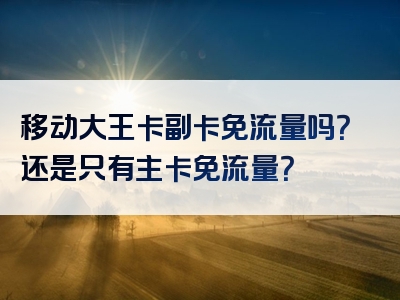 移动大王卡副卡免流量吗？还是只有主卡免流量？