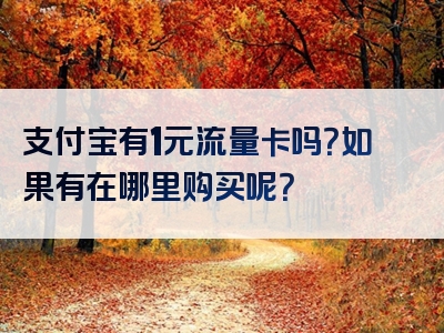 支付宝有1元流量卡吗？如果有在哪里购买呢？