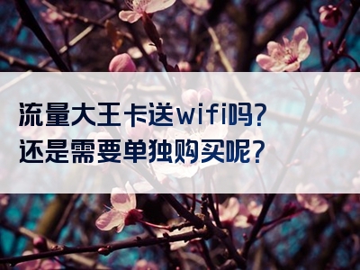 流量大王卡送wifi吗？还是需要单独购买呢？