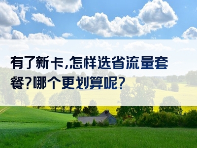 有了新卡，怎样选省流量套餐？哪个更划算呢？