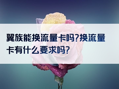 翼族能换流量卡吗？换流量卡有什么要求吗？