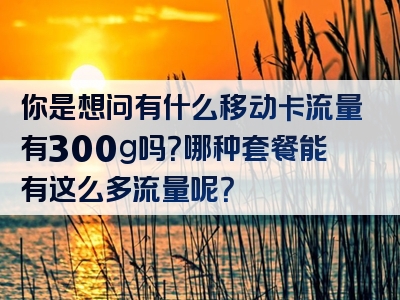 你是想问有什么移动卡流量有300g吗？哪种套餐能有这么多流量呢？