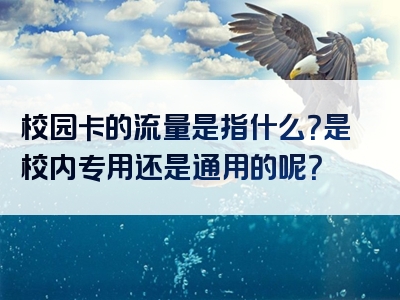 校园卡的流量是指什么？是校内专用还是通用的呢？