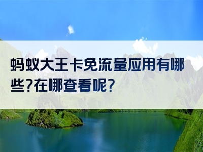 蚂蚁大王卡免流量应用有哪些？在哪查看呢？