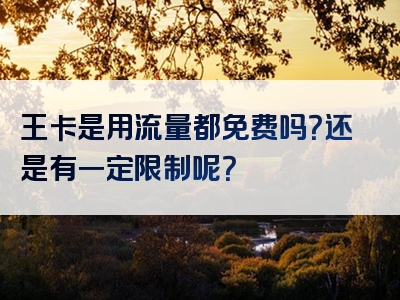 王卡是用流量都免费吗？还是有一定限制呢？