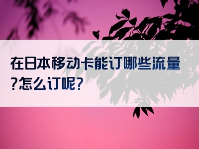 在日本移动卡能订哪些流量？怎么订呢？