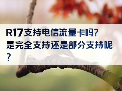 R17支持电信流量卡吗？是完全支持还是部分支持呢？