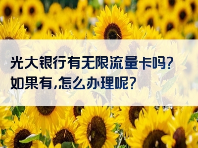 光大银行有无限流量卡吗？如果有，怎么办理呢？