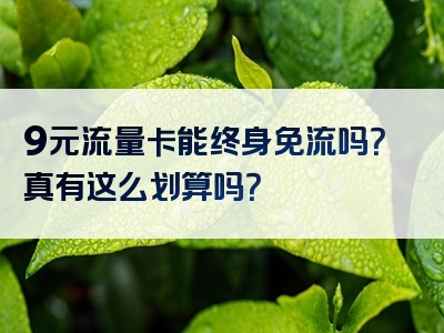 9元流量卡能终身免流吗？真有这么划算吗？