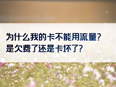 为什么我的卡不能用流量？是欠费了还是卡坏了？