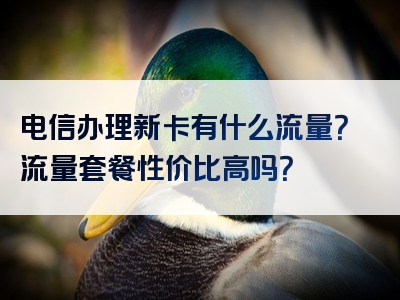 电信办理新卡有什么流量？流量套餐性价比高吗？