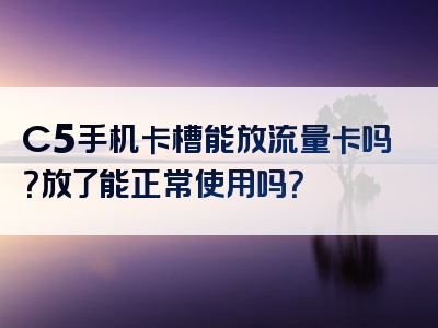C5手机卡槽能放流量卡吗？放了能正常使用吗？